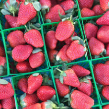 Some_Strawberries_220x220.jpg
